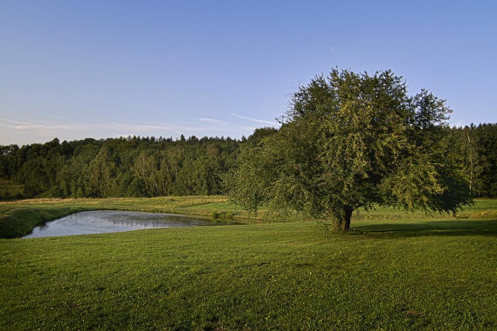 Gosciniec Nowa Wioska Wałbrzych Exterior foto